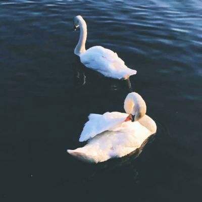 亚博体育(中国)官方网站