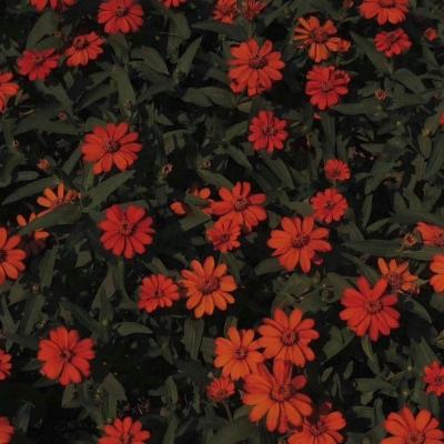 博盈·体育截图