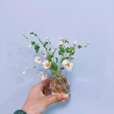 ManBetX手机版截图