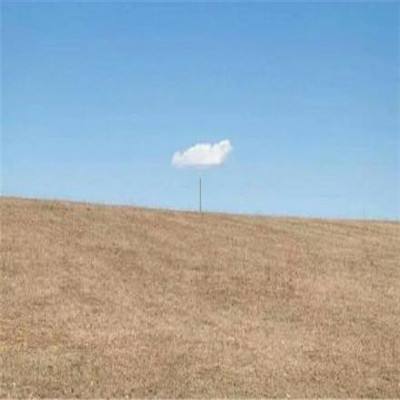 im电竞平台下载手机版