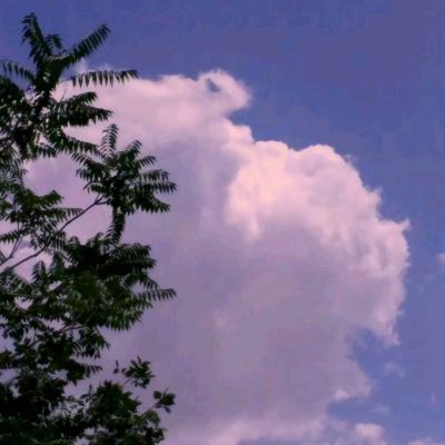 火狐体育APP体育