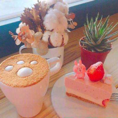 半岛官网入口体育